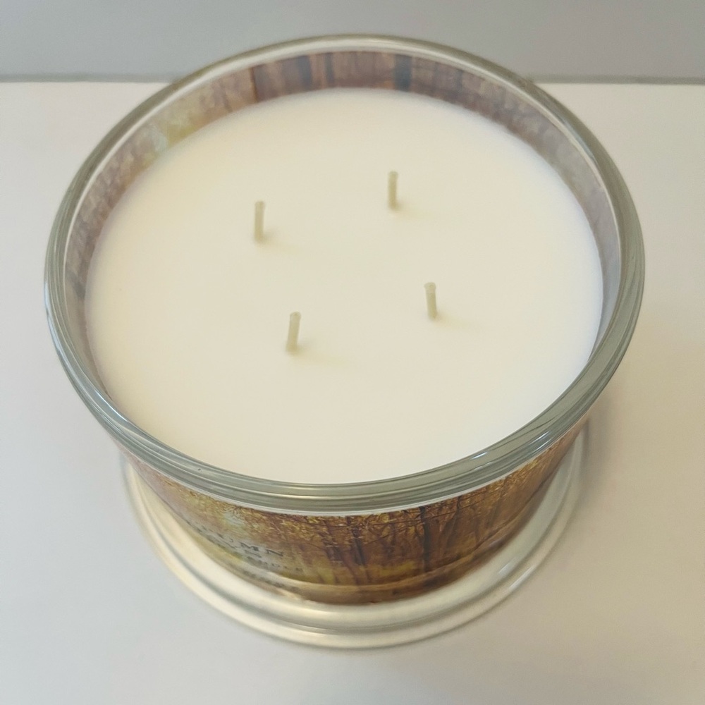 Homeworx by Slatkin & Co. Autumn Days 4 Wick Scented Candle - Picture 7 of 8